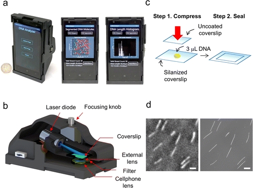 Smartphone Becomes DNA diagnostic tool