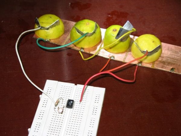 Tiny AVR Microcontroller Runs on a Fruit Battery