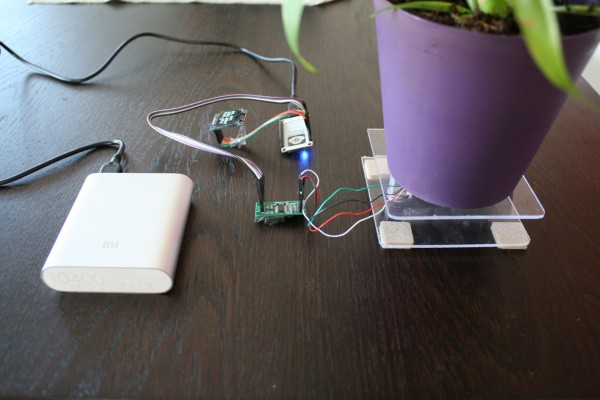 ESP8266 Meet Thirsdee the Intelligent Plant Helper