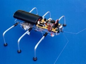 SPIDER ROBOT SHOW 1
