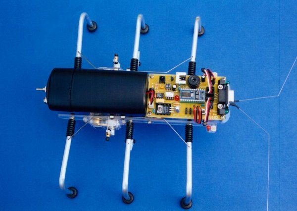 SPIDER ROBOT SHOW 8