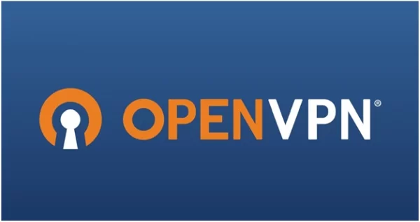 Open VPN-OpenVPN VPN Protocol Settings: What You Should Know